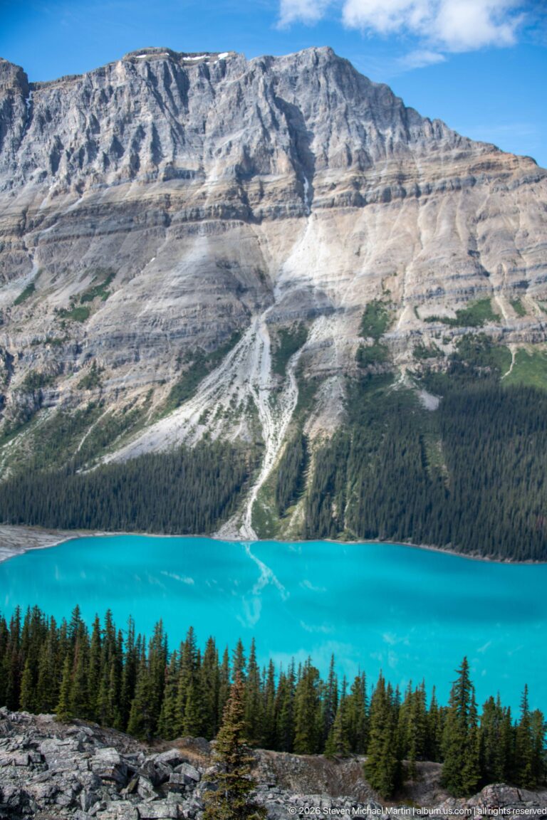 Bright turquoise Peyto Lake below a dark conifer band and broad gray mountain slope crossed by pale erosion channels.