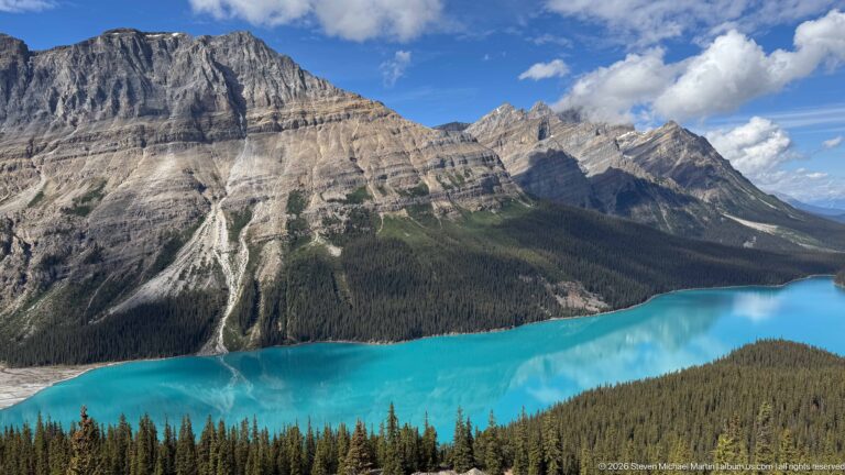 Turquoise Peyto Lake curves below steep layered mountains, forested slopes, pale erosion channels, and distant peaks.