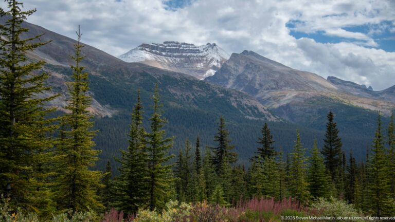 Jagged gray mountain peaks under broken clouds rise behind dense conifers and pink fireweed near Bow Summit.