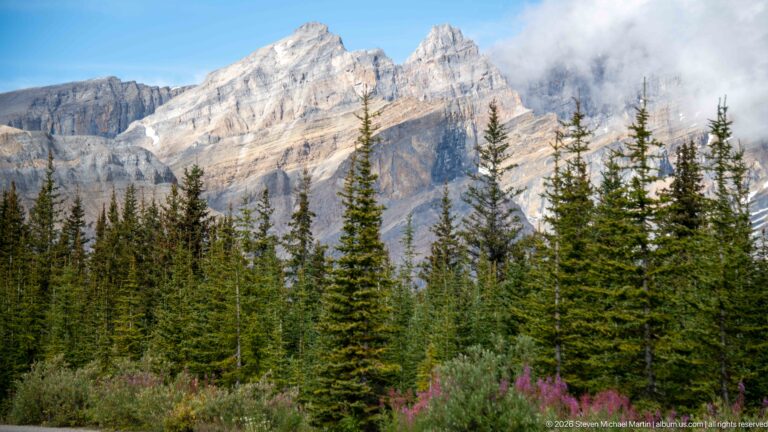 Sunlit pale limestone peaks partly wrapped in cloud above dense conifers and pink fireweed near Bow Summit.