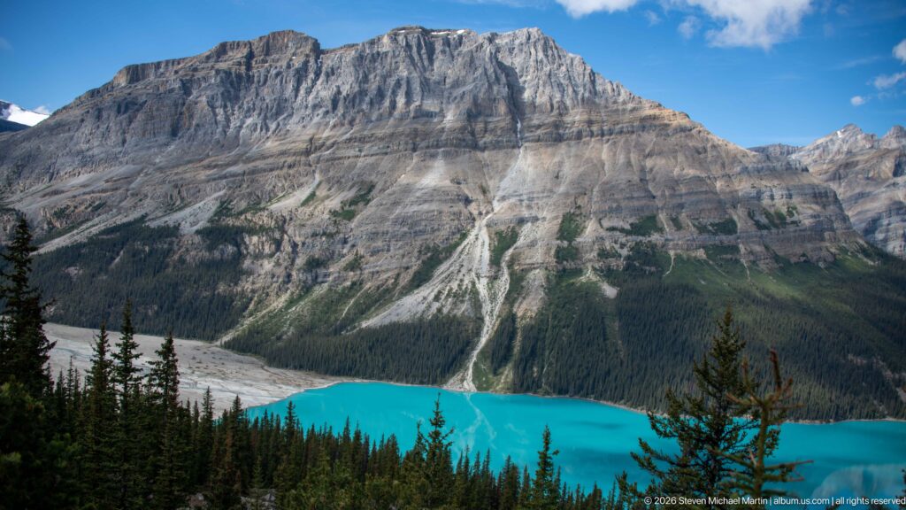 Turquoise Peyto Lake below a broad layered mountain escarpment, with pale erosion gullies, forest, and foreground evergreens.