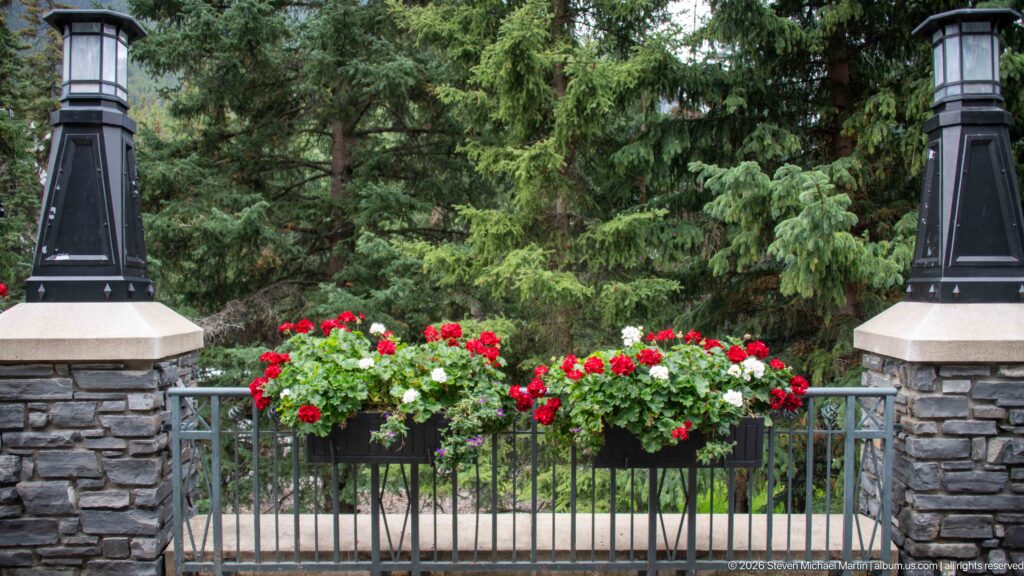 Red and white flowers line a metal railing between two stone piers topped with dark lanterns, with evergreens behind.