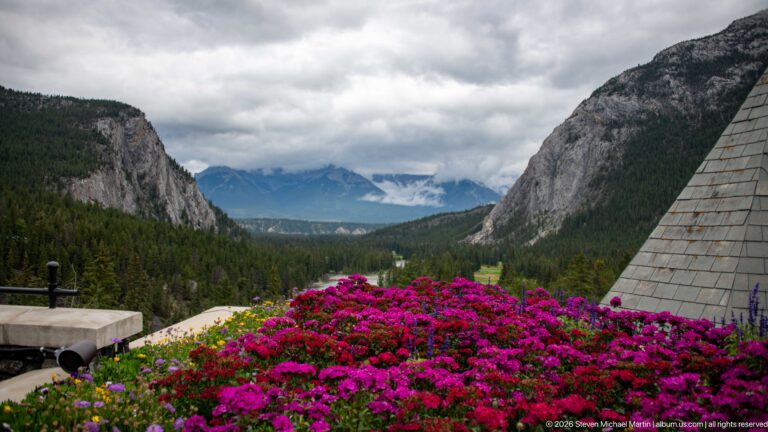 Bright flower beds and a shingled roof frame a deep forested mountain valley with distant peaks under low clouds.