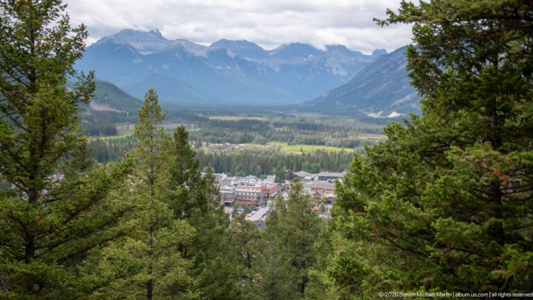 Banff townsite seen through pine trees from an elevated viewpoint, with layered Rocky Mountain peaks under clouds.