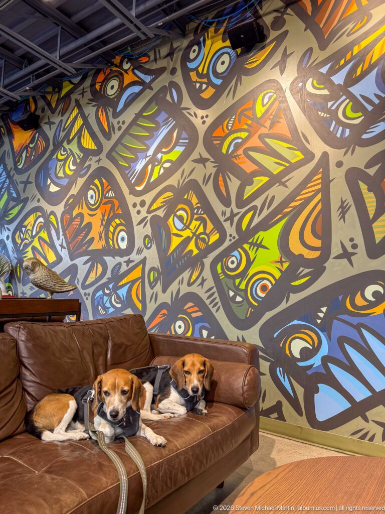 Two beagles lie on a brown leather sofa below a large colorful abstract mural of eyes and angular forms.