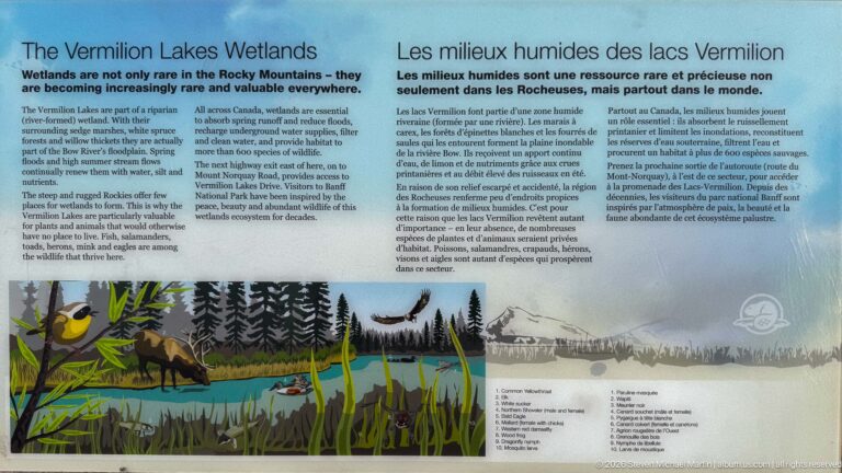 Bilingual Vermilion Lakes wetlands panel with ecological illustrations of water, plants, birds, mammals, and mountains.