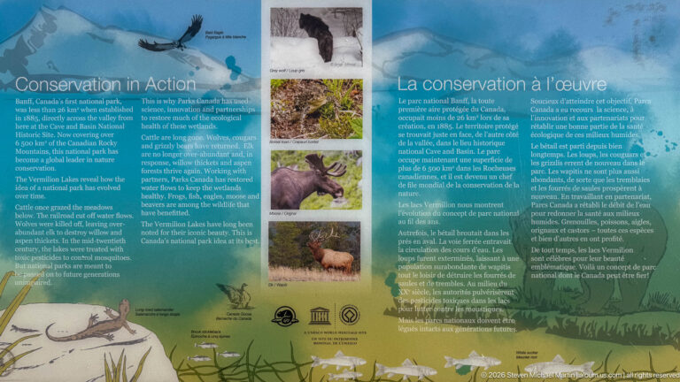 Bilingual “Conservation in Action” interpretive panel with wildlife photographs, illustrations, and English and French text.