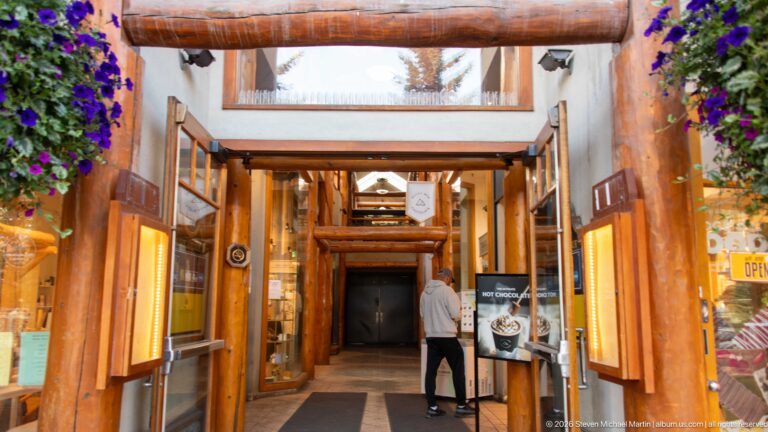 Narrow timber-framed shopping passage with log beams, display cases, hanging flowers, skylight, and one person.