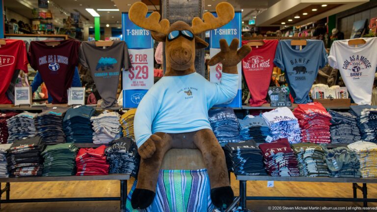 Large plush moose seated among stacks and rows of colorful Banff souvenir T-shirts.