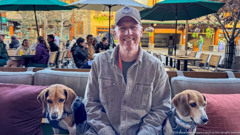 Smiling man seated between two harnessed beagles on a busy outdoor restaurant patio.