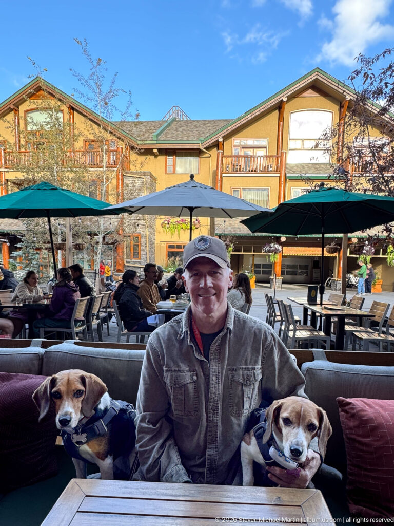 Man seated on an outdoor restaurant sofa with two beagles, diners and umbrellas behind them.