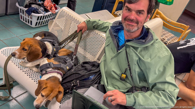 High-angle view of a seated man holding two leashed beagles resting on adjacent perforated-metal chairs.