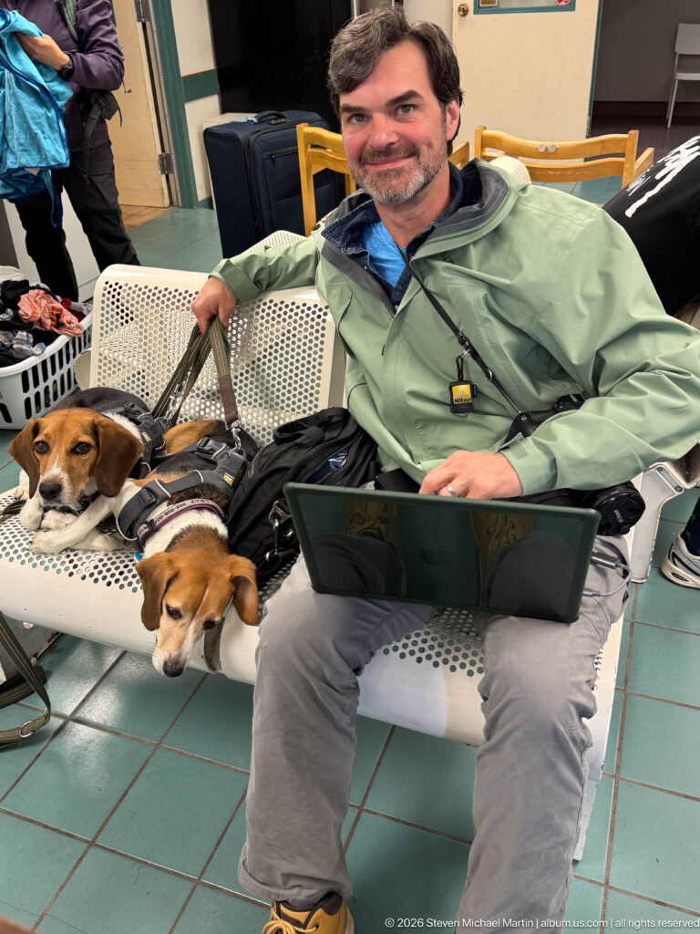 Seated man in a green jacket holding leashes beside two harnessed beagles lying across perforated-metal seats.