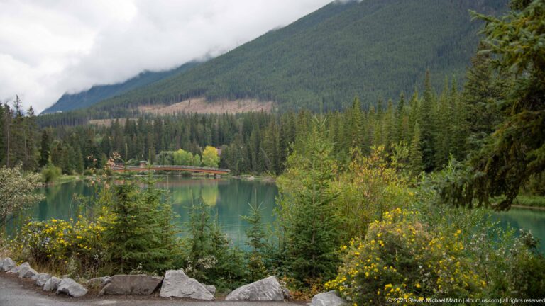 Forested green-blue waterway with distant low bridge, yellow wildflowers, young conifers, and cloud-covered mountain slope.