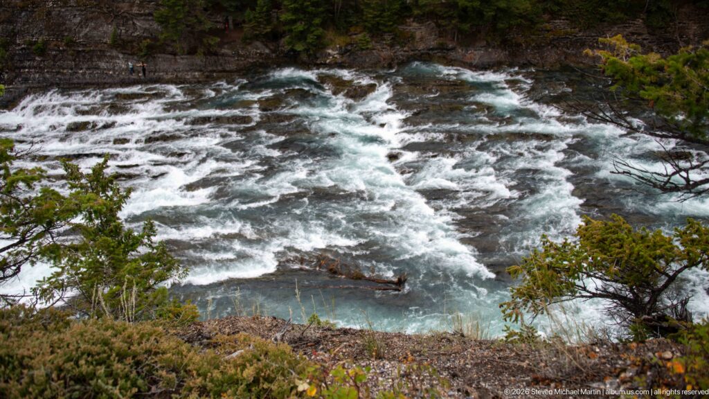 Blue-green mountain river rushing over rocks in whitewater, bordered by conifers and low shrubs.