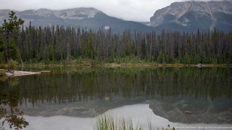 Still lake reflects dense conifer forest and steep cloud-covered mountain walls, with reeds in the foreground.