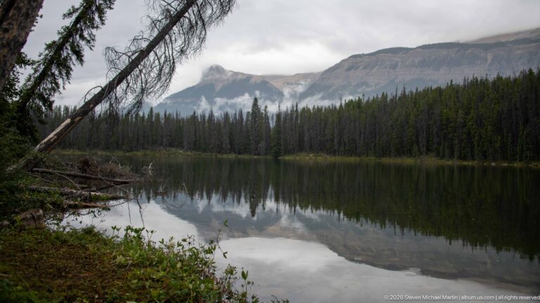 Still mountain lake reflects conifer forest and cloud-covered peaks, with fallen trees along the near shore.