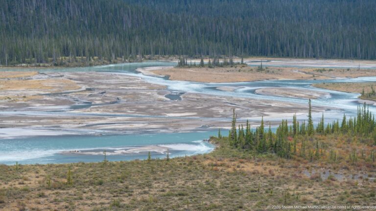 Turquoise braided river channels wind among pale gravel bars and conifer-covered islands.