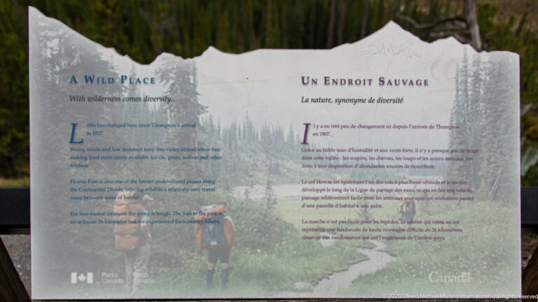 Bilingual “A Wild Place / Un endroit sauvage” panel with hikers and mountain vegetation in the background image.