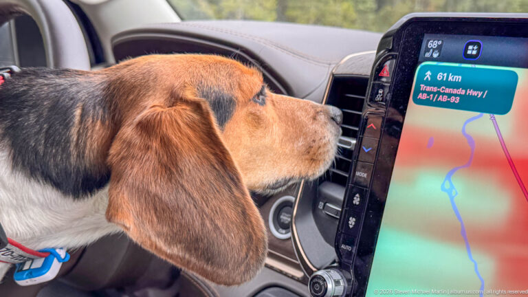 Beagle leans toward a vehicle navigation screen displaying the Trans-Canada Highway route.