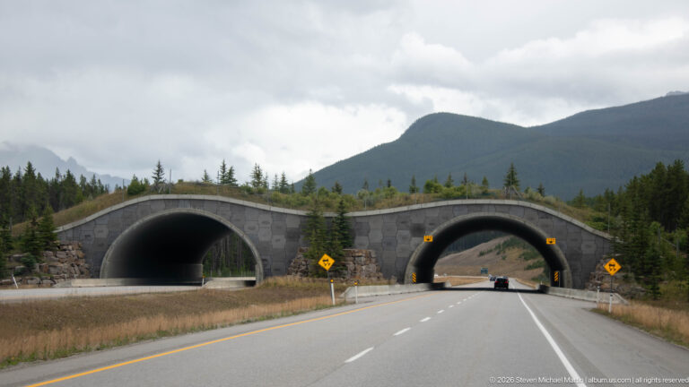 Two vegetated arched wildlife overpasses cross the Trans-Canada Highway with forested hills behind.