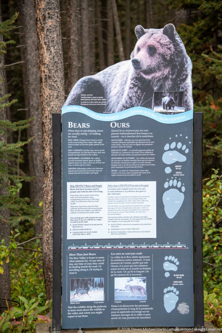 Bilingual “Bears / Ours” interpretive panel with bear cutout, paw prints, and safety information in a forest.