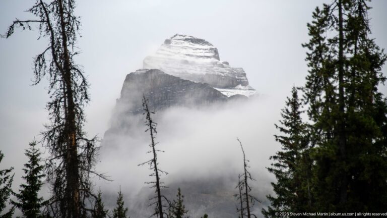 Stepped limestone mountain summit emerges from thick cloud between dark conifer trees.