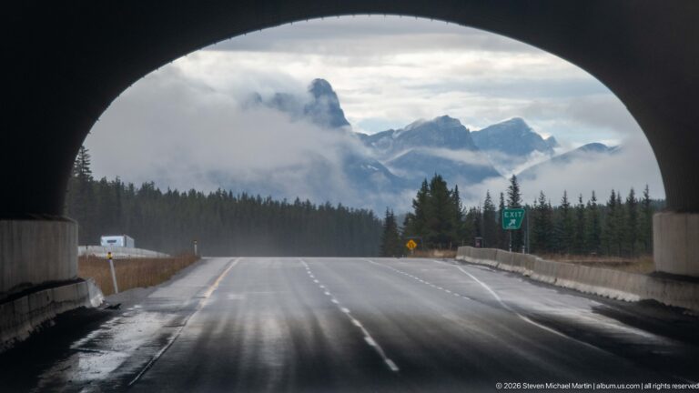 Wet highway lanes seen through the dark arch of a wildlife overpass, with forest and misty mountains ahead.