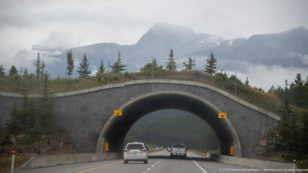 Vegetated wildlife overpass arches above highway traffic with young trees and misty mountains beyond.