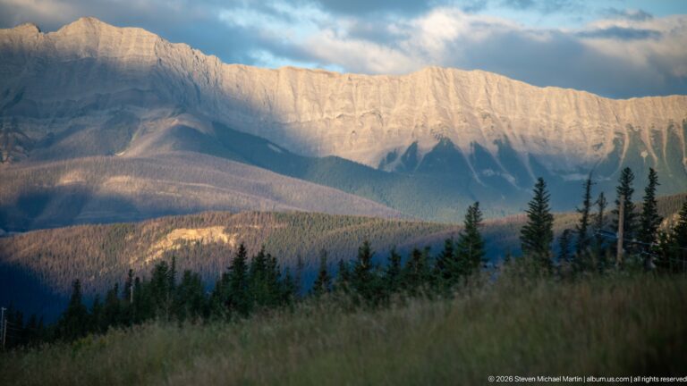 Pale mountain escarpment glowing above shadowed forest and grass beneath dark clouds.