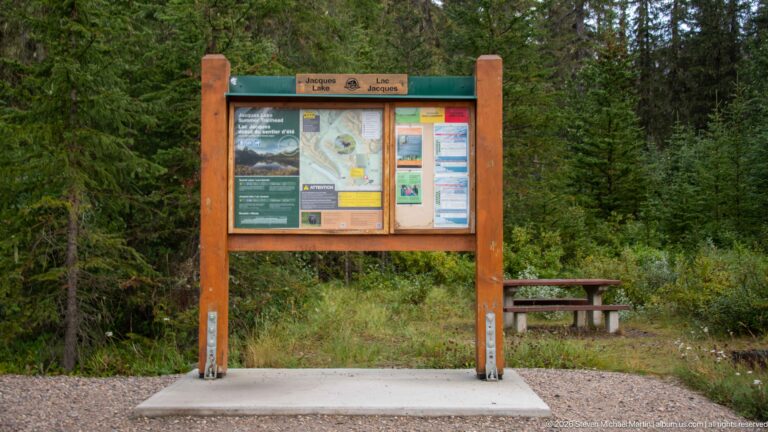 Wood-framed Parks Canada information board beside a picnic table in conifer forest.