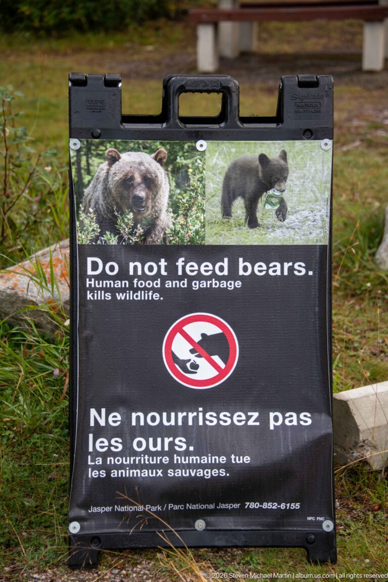 Bilingual Parks Canada sign reading Do not feed bears with bear photographs and a no-feeding symbol.