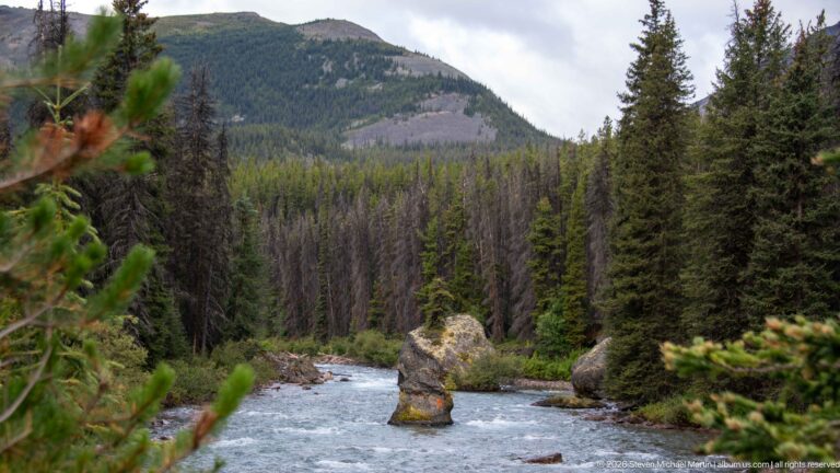 Large rock standing in a fast mountain river below forested slopes.
