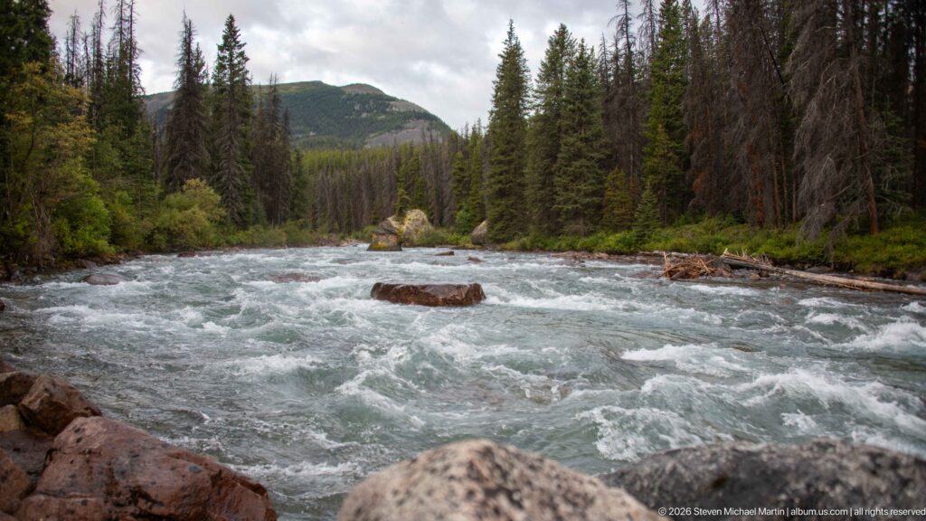 Fast blue-green mountain river flowing around boulders between conifer forests.