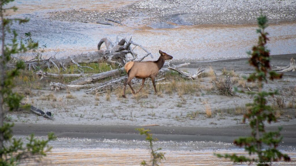 Jasper Athabasca River