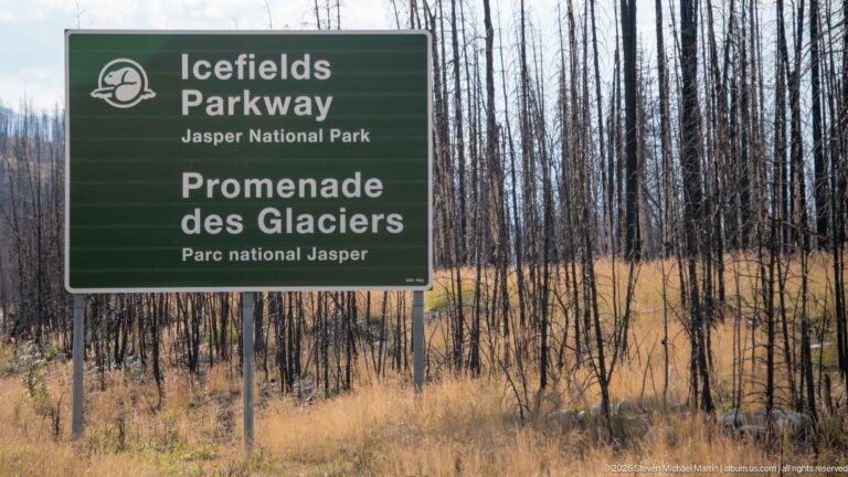 A green bilingual Icefields Parkway sign stands before a landscape of blackened tree trunks and golden grasses.