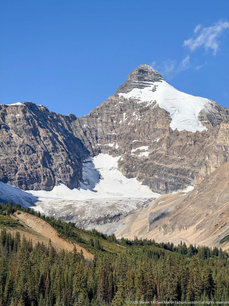 Rocky mountain with high snowfields and glacier ice above dense conifer forest beneath a clear blue sky.
