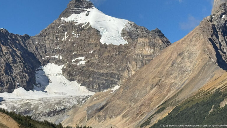 Glacier and snowfields within a steep rocky cirque above a narrow band of conifer forest.