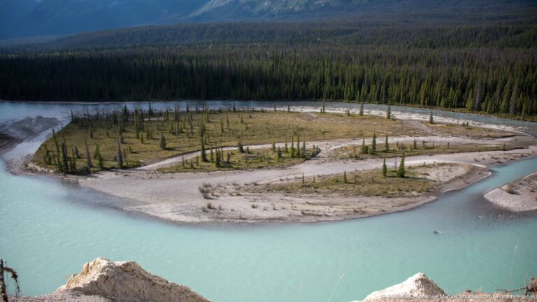 A low gravel island with scattered young conifers divides pale turquoise glacial water.