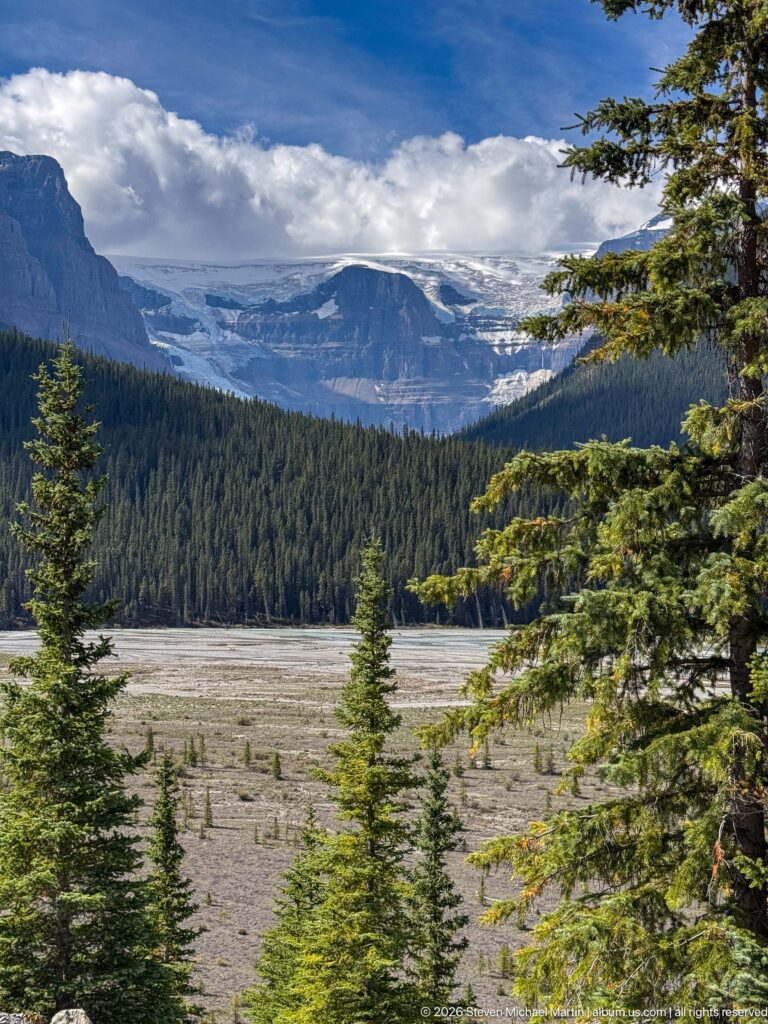 A broad pale gravel forefield and conifer forest lead toward a distant glacier beneath cloud-wrapped mountains.