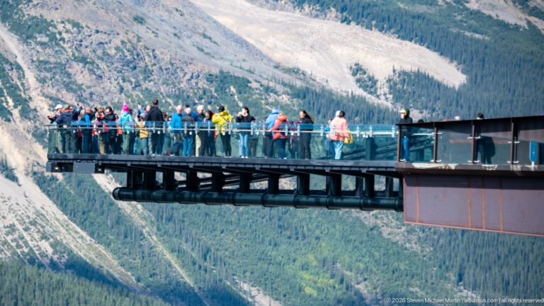Visitors line the glass railings of a cantilevered observation platform high above a forested valley.