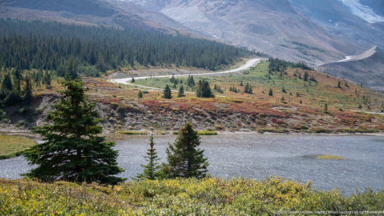 A pond bordered by colorful low shrubs and conifers lies below a winding road and barren mountain slope.