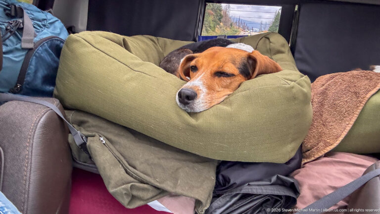 A beagle rests with its head on a green cushion amid blankets and travel gear inside a vehicle.