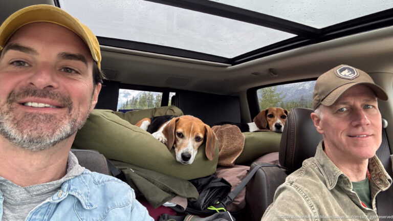 Two adults sit in the front of a vehicle while two beagles rest among bedding in the rear the panoramic roof is visible overhead.