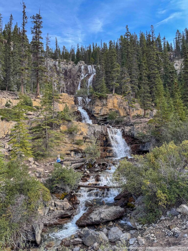 A multi-tiered stream cascades over dark bedrock through conifers and low shrubs beneath a blue sky.
