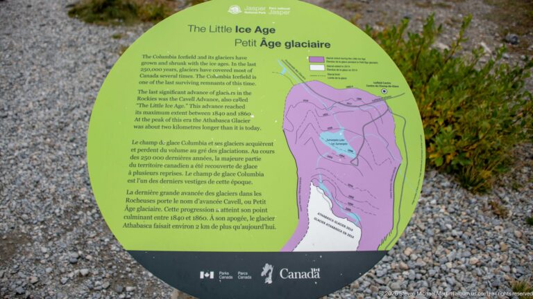 A round green Parks Canada panel titled The Little Ice Age / Petit Âge glaciaire includes text and a diagram of changing glacier extent.