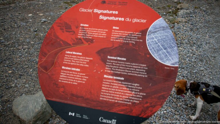 A round red Parks Canada panel titled Glacier Signatures / Signatures du glacier describes visible glacial landforms a beagle stands at the edge.