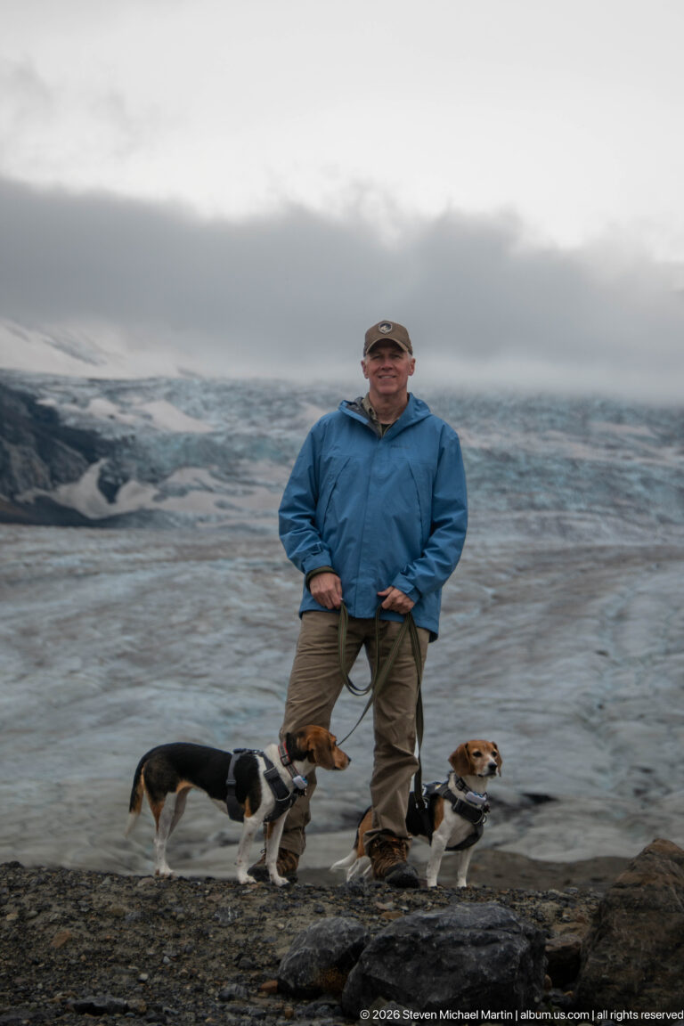 An adult stands with two leashed beagles on the rocky forefield textured glacier ice fills most of the background.