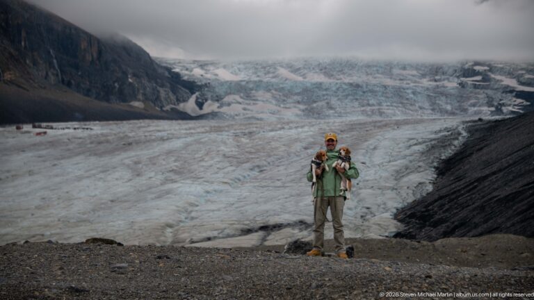 An adult in a green jacket holds two beagles while standing on dark gravel with Athabasca Glacier filling the background.
