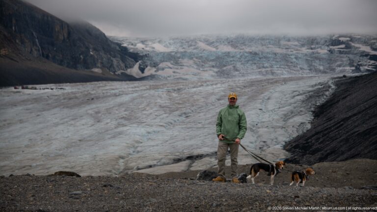 An adult in a green jacket stands with two leashed beagles on rocky ground, with the glacier and dark moraine behind.